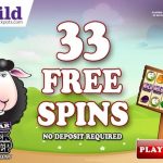 33 Free Spins No Deposit Bonus